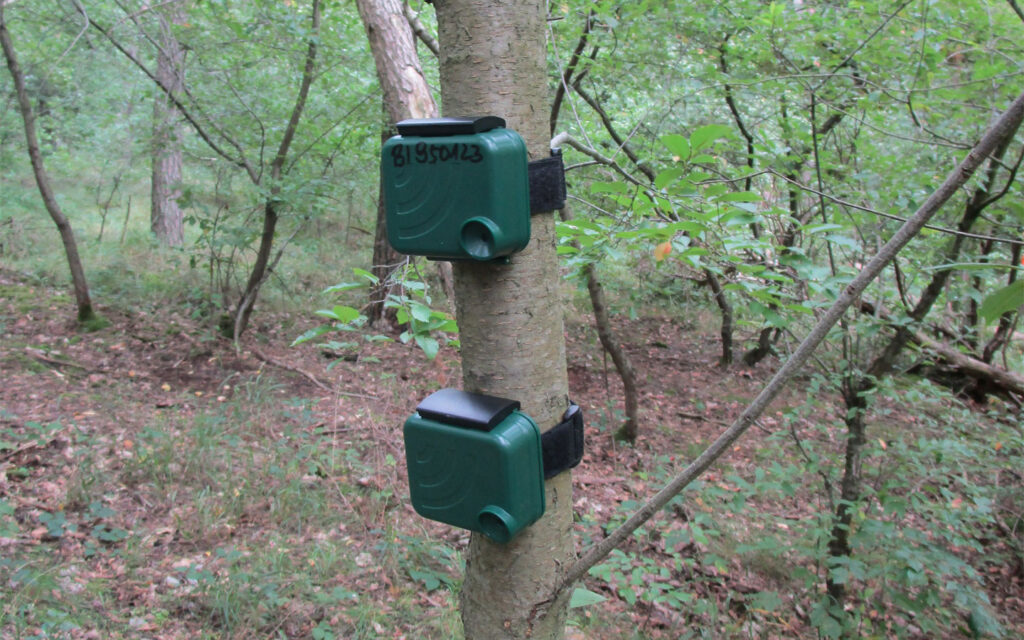 Projekt-KI-Nationalpark