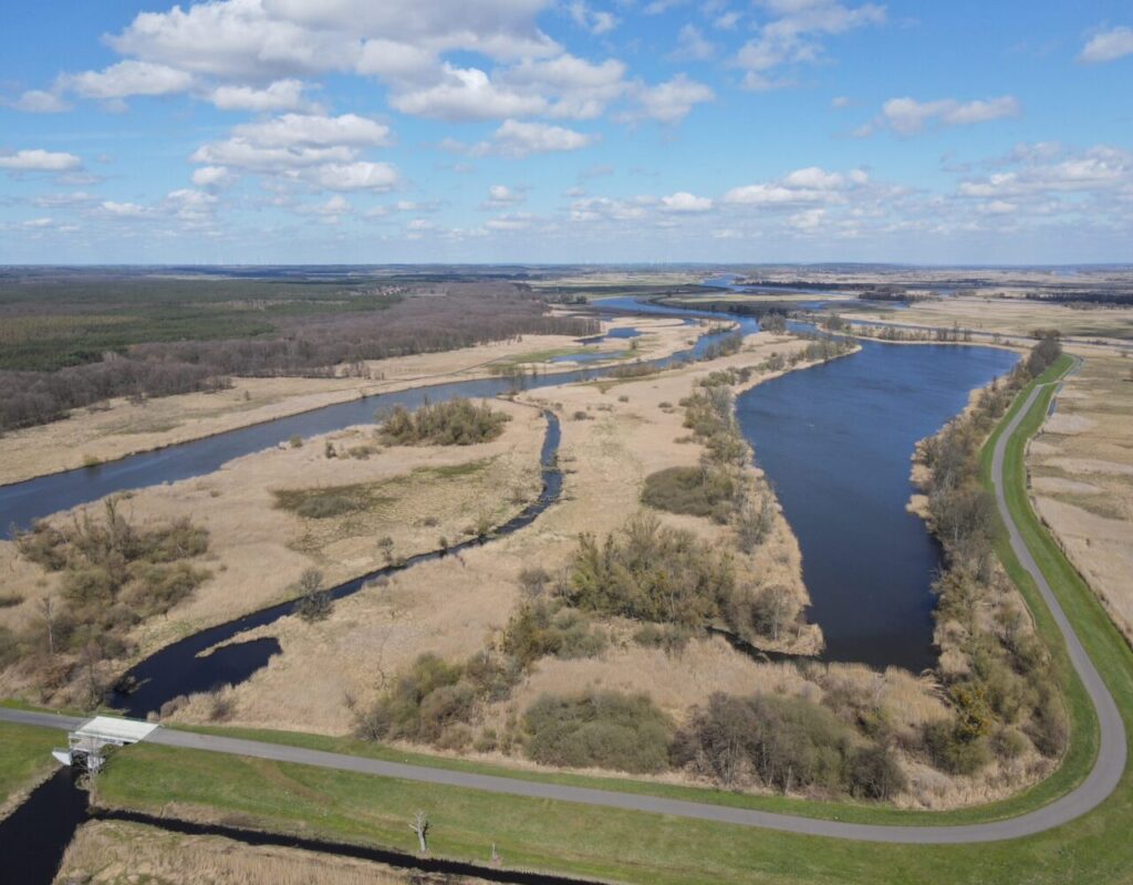 Oxbow lake floodplain restoration | decorative image