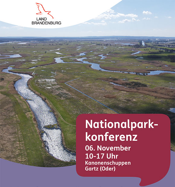 NLP-Konferenz