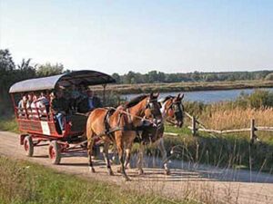 Reit- und Fahrtouristik Lehmann