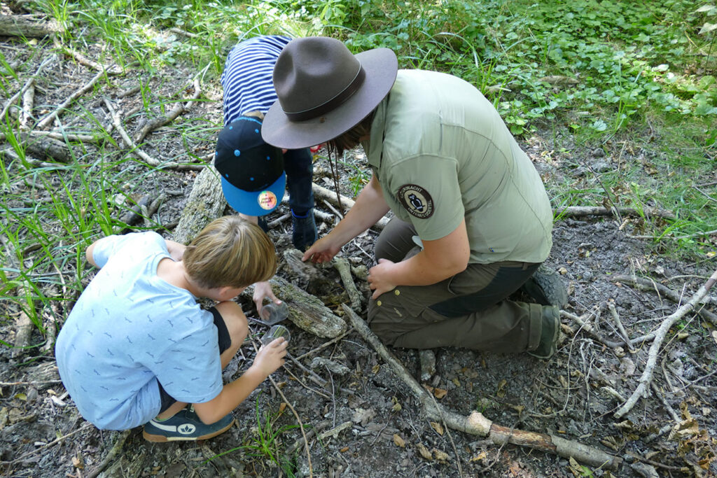 Junior-Ranger-Camp 2025 im Nationalpark Unteres Odertal