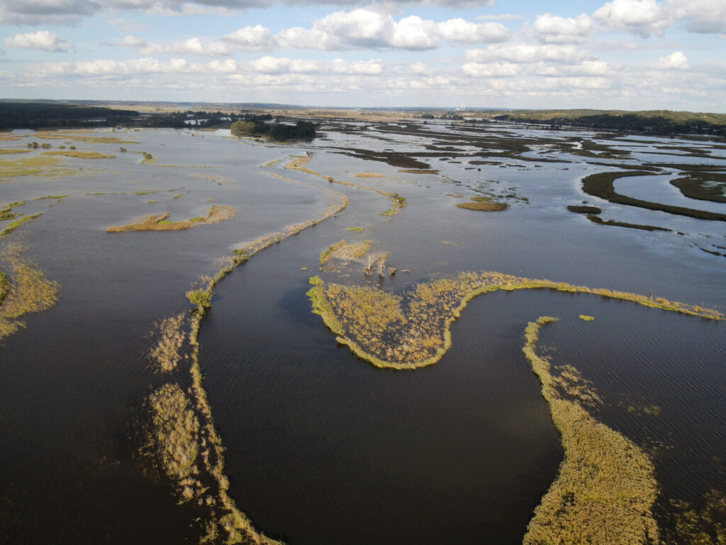 Biotopverbund in Fluss- und Auenökosystemen